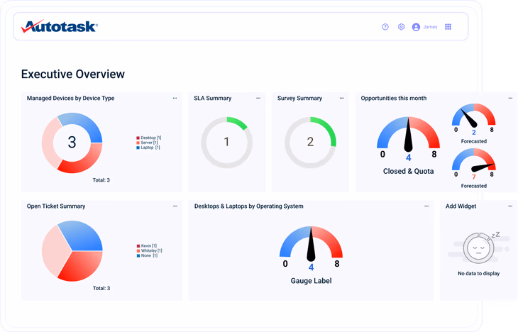 Professional services automation