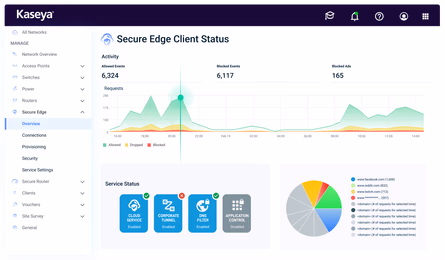 Secure Access Service Edge (SASE)