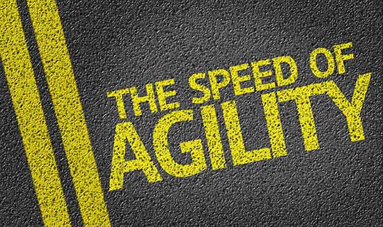 Agile MSP