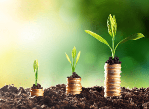 growing plants on top of coins