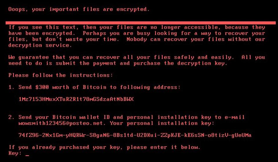 Petya Screen Capture