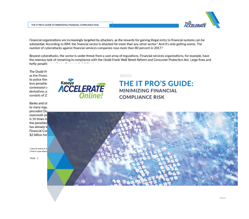 The IT Pro's Guide: Minimizing Financial Compliance Risk