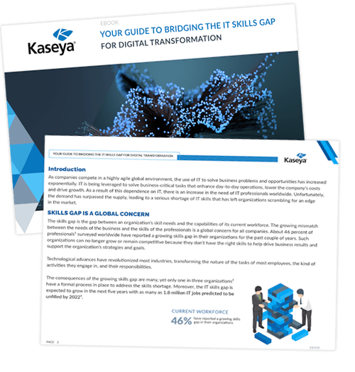Bridging the It Skills Gap eBook Preview