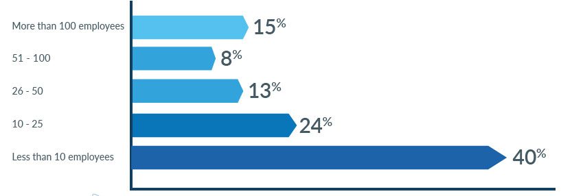Company Size