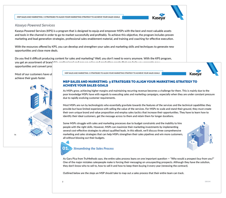 MSP Sales and Marketing: 3 Strategies to Align Your Marketing Strategy to Achieve Your Sales Goals Preview